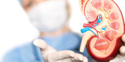 que-es-la-urologia-y-que-son-los-urologos